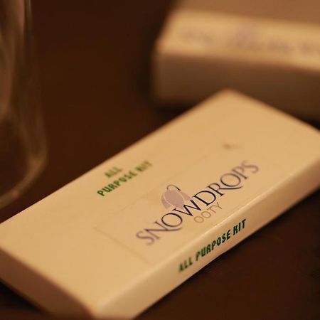 Willa Snowdrops Utakamand Zewnętrze zdjęcie